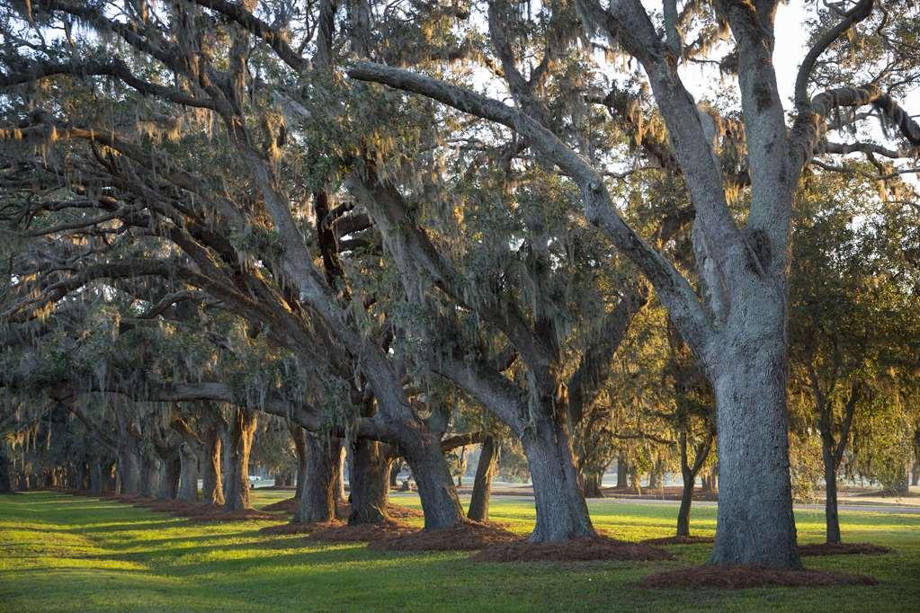 The Lodge At Sea Island St. Simons Island Einrichtungen foto