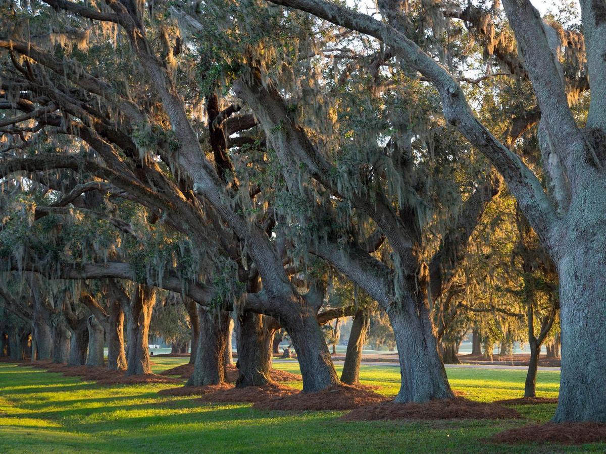 The Lodge At Sea Island St. Simons Island Exterior foto